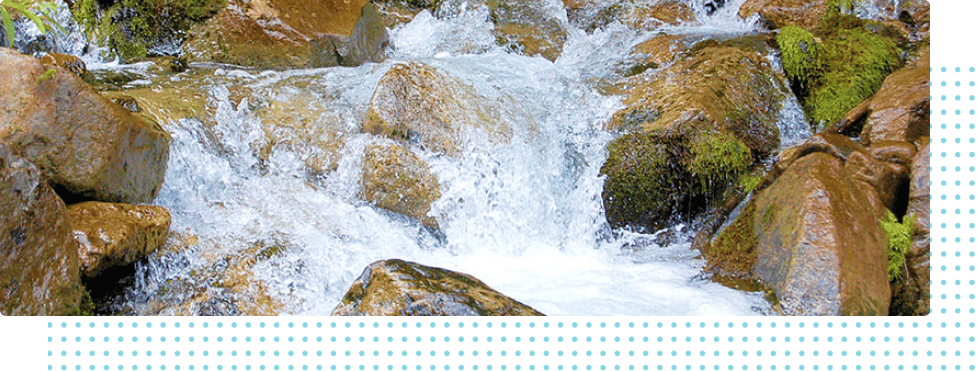 大自然が磨き上げた水