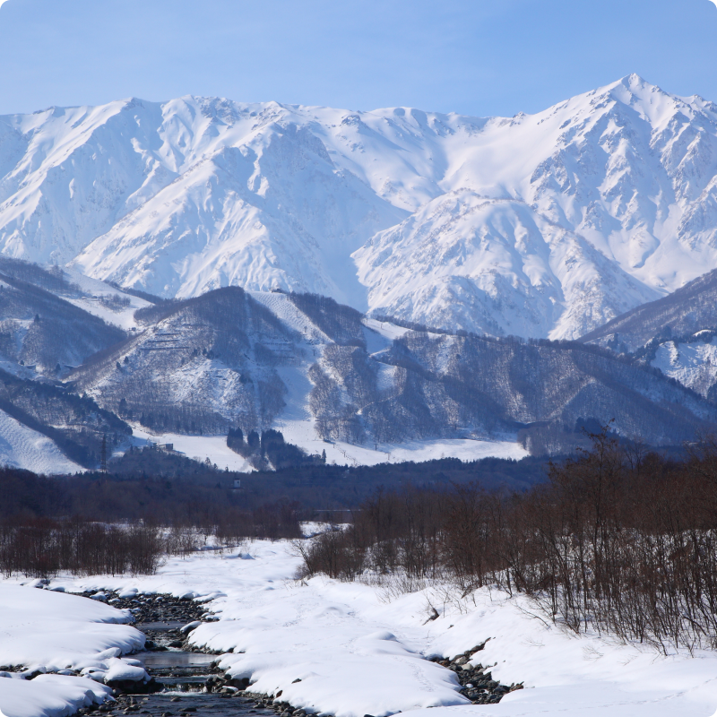 大自然が磨き上げた水